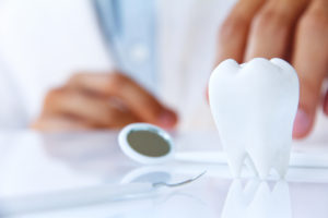 Photo of a tooth model and dental tools with a dentist in the background